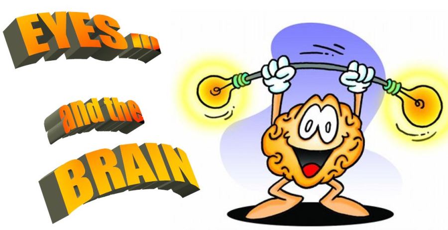 VISUAL PROCESSING DISORDERS